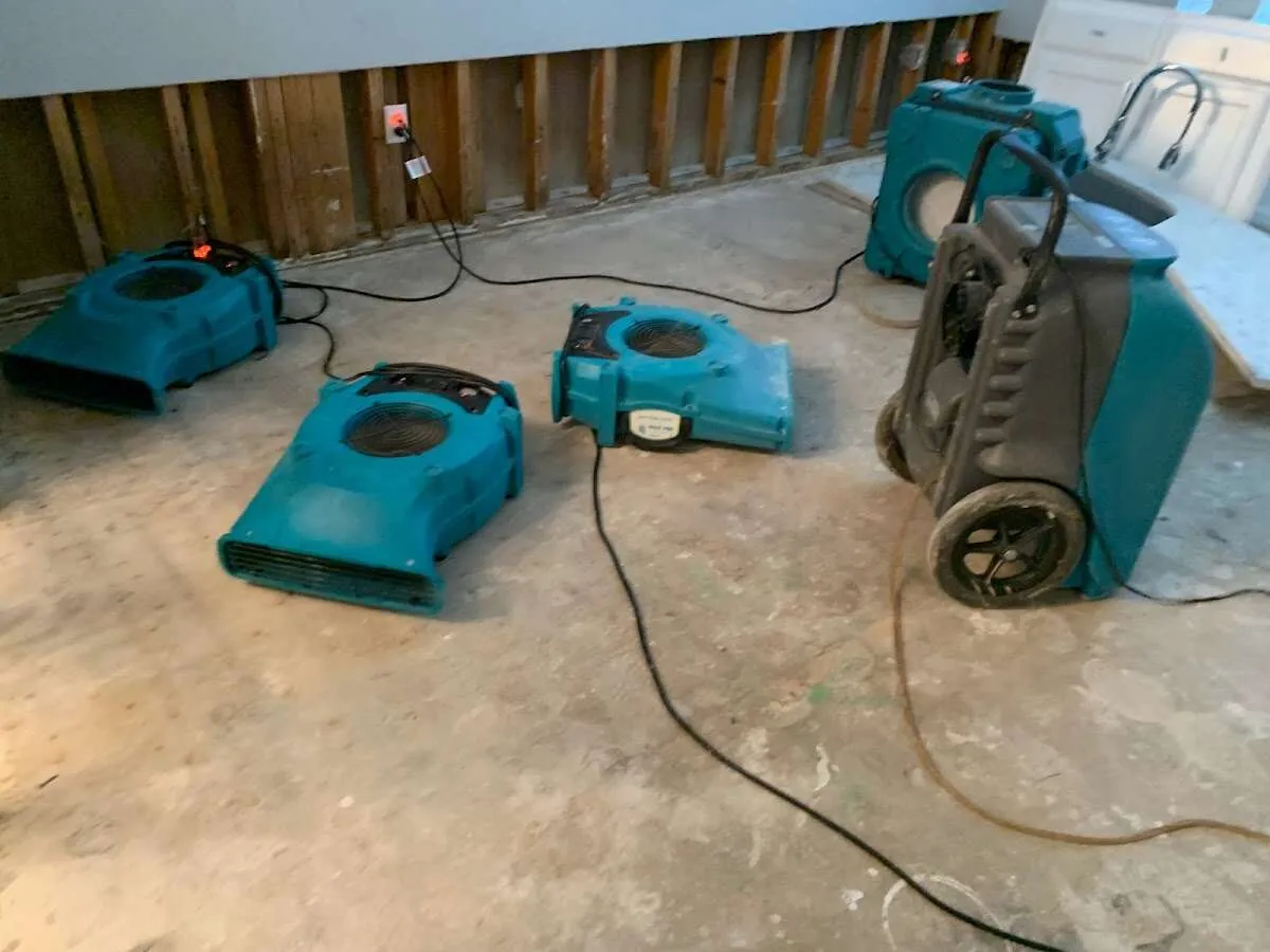 Water Damage Restoration services in Durango, CO